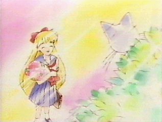 sailorv_anime01.jpg